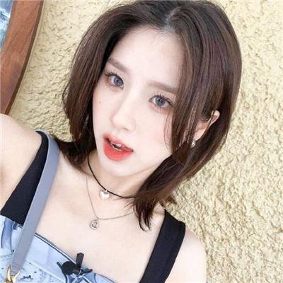 隔墙花